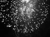 Fireworks <br> by Pierre Le Hors <br> SOLD OUT