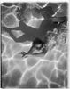 The Swimming Pool<br>Deanna Templeton