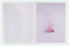 RGB Transferences <br> by Pierre Le Hors  <br> SOLD OUT