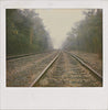 I Love You, Stupid!<br>Dash Snow