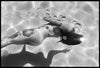 The Swimming Pool<br>Deanna Templeton