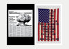 29 FLAGS<br>Cali Thornhill Dewitt<br>SOLD OUT