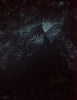 Deeper Than Night<br>Coley Brown