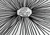 Duvet Cover <br> by David Shrigley <br> SOLD OUT