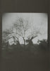 When I Die <br> by Cali Dewitt & Mark Mccoy <br> SOLD OUT