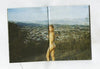 Back Sides<br>by Nate Walton <br> SOLD OUT