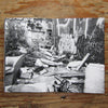 Yea Im Vandalism <br> by Dan Murphy <br> SOLD OUT