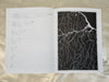 Doubting<br>Issue #4 <br> SOLD OUT