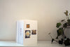 Plants & Mammals <br> Carol Bove <br> SOLD OUT