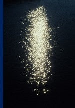 If We're Pioneer's <br> by Mark Borthwick <br> SOLD OUT