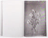 Wild Flowers Of Palestine<br>Arno Auer, Ingo Mittelstaedt<br>SOLD OUT